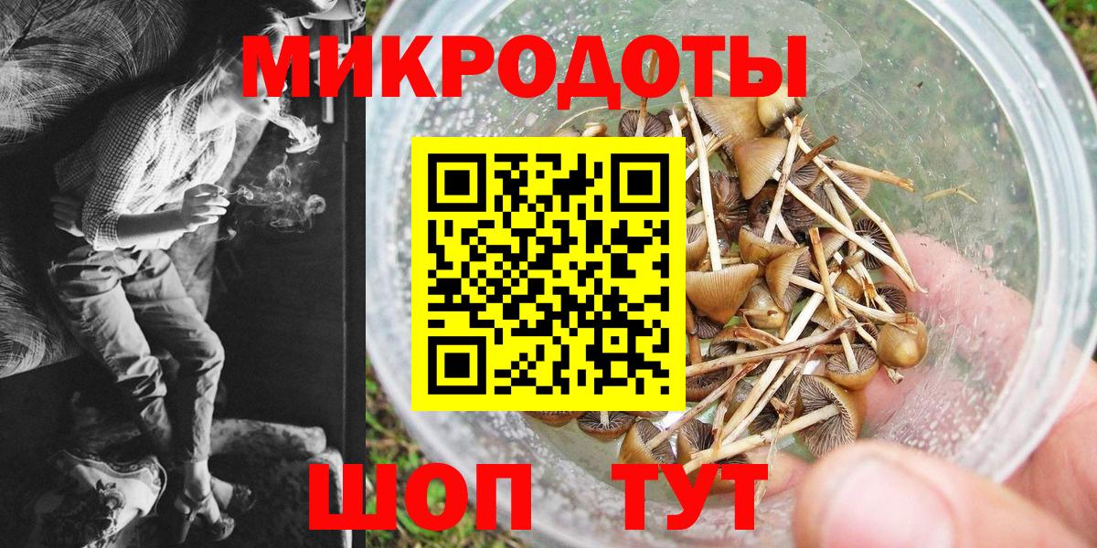 Псилоцибиновые грибы мухоморы Мариинск